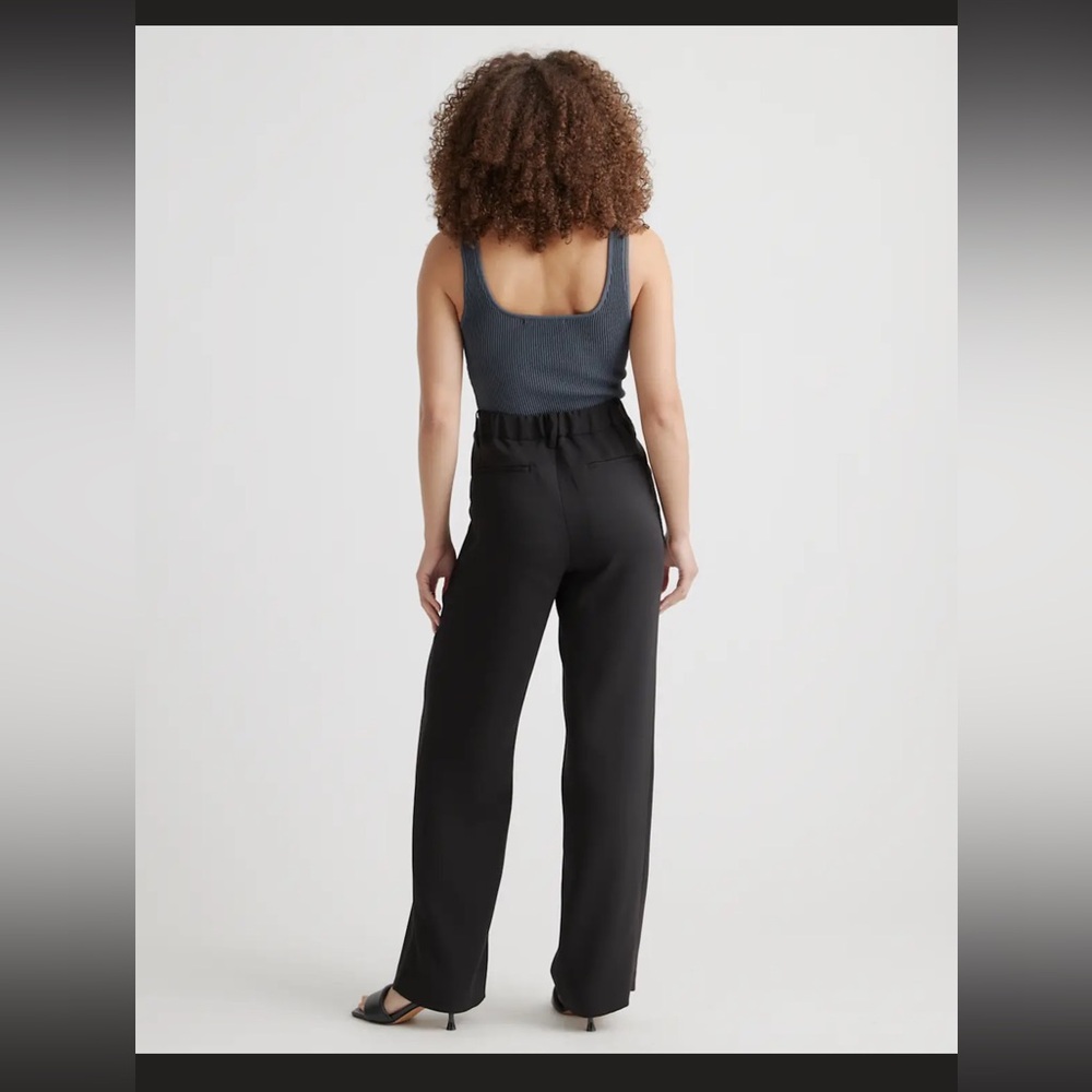 Quince Stretch Crepe Pleated Wide Leg Pants - Picture 2 of 3